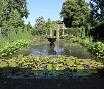 ceremonie-in-de-tuin