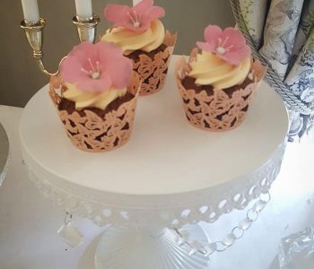 cupcakes cupcakes